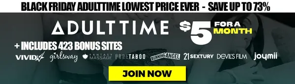 Adult Time black Friday banner