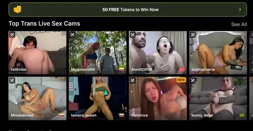Stripchat live sex cam thumbnails